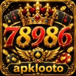 78986 Game logo